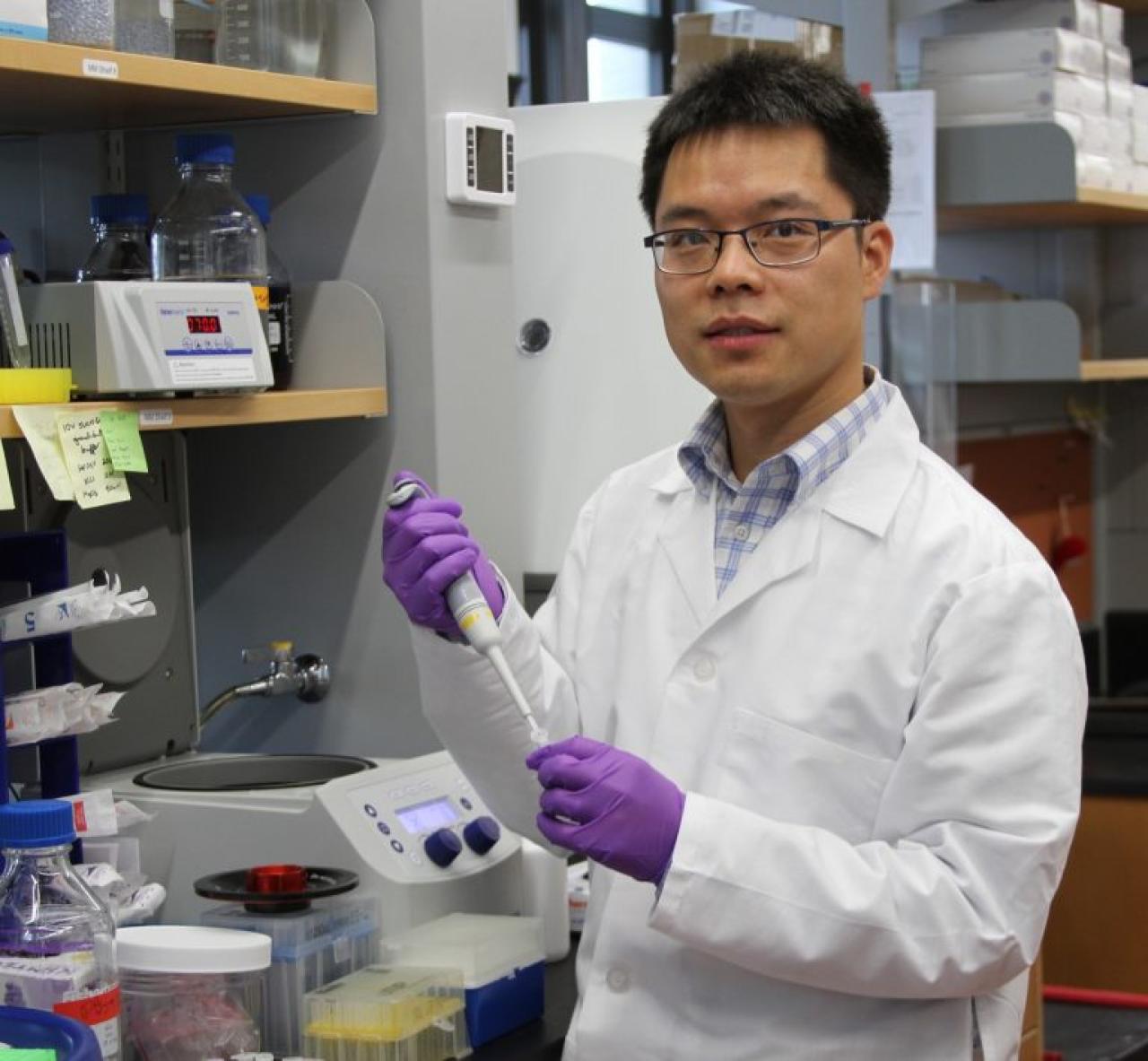 Xuebing Wu, PhD, working in the lab