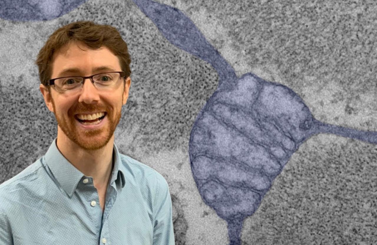 Scientist Martin Picard standing in front of a picture of a mitochondria