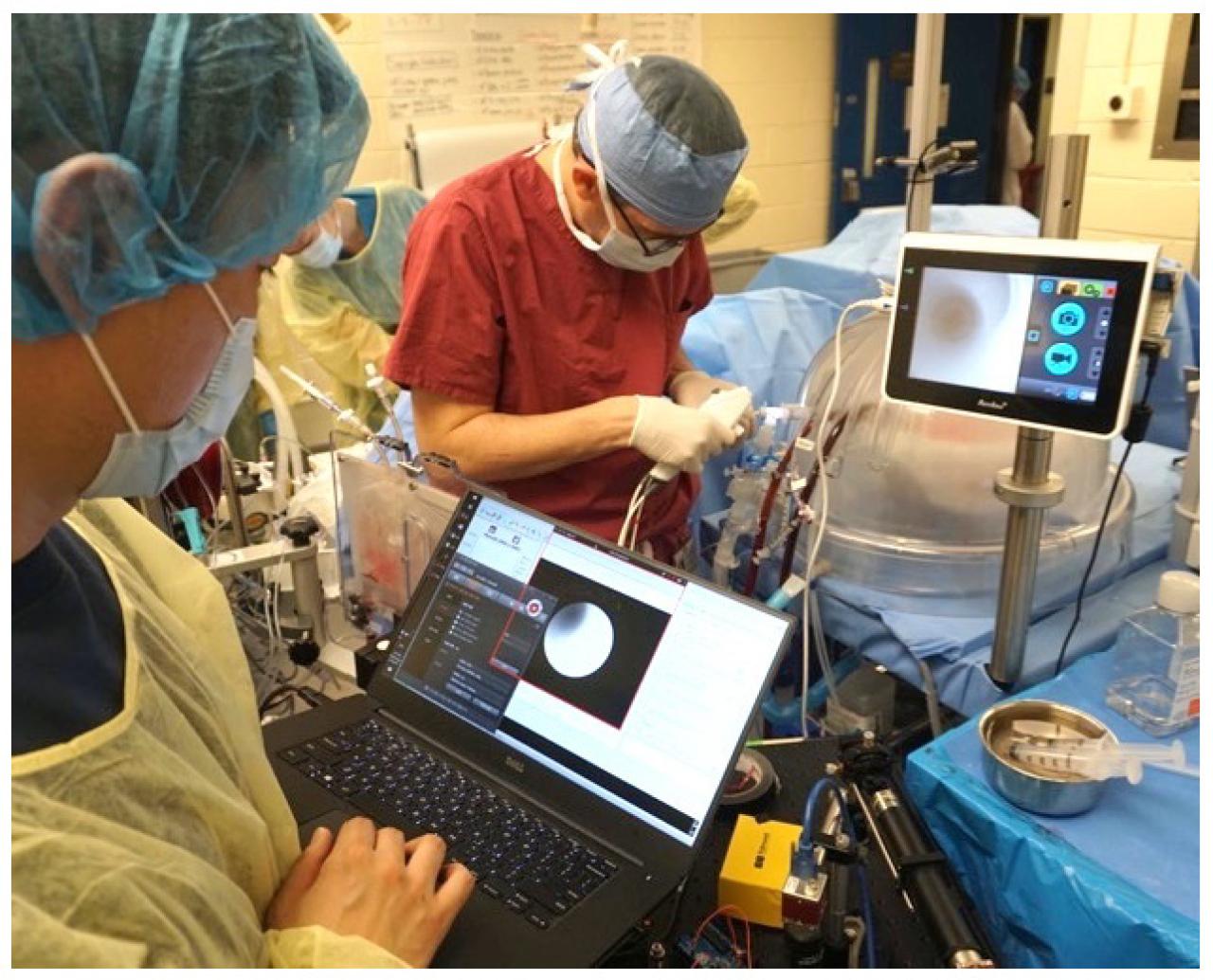 scientists working in the lab