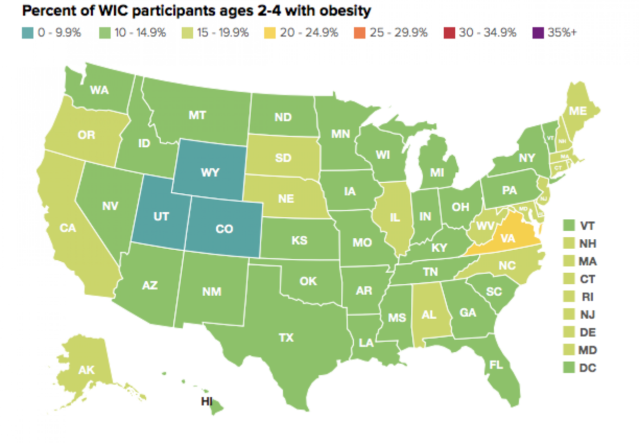 The Role Of Community Health Clinics In Preventing Childhood Obesity