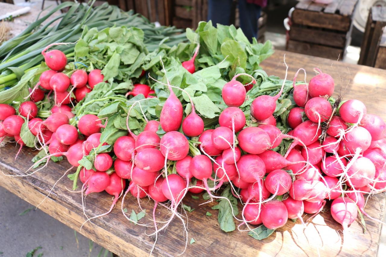 Greenmarket radishes