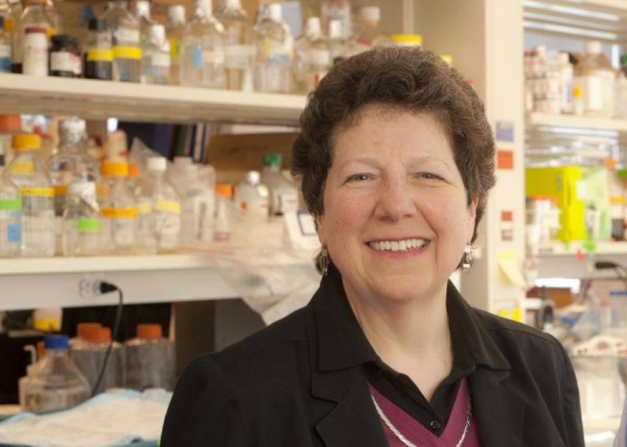 2021 Naomi Berrie Award winner, Barbara B. Kahn, MD (Credit: Harvard Medical School)