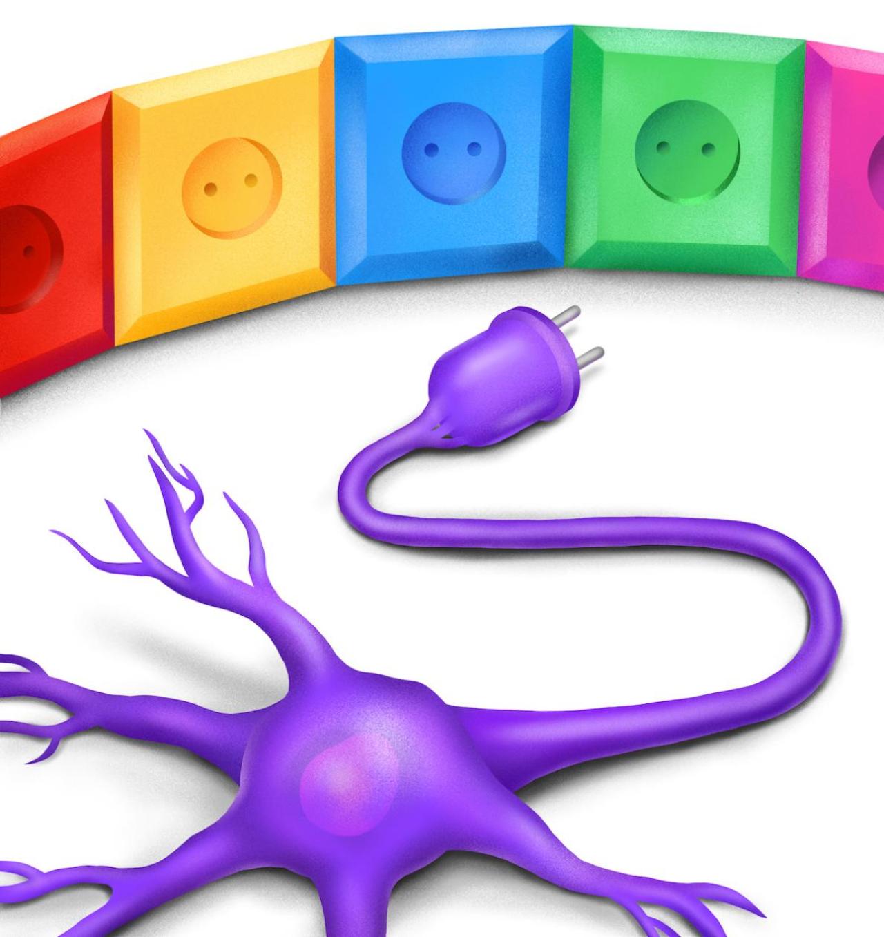 illustration of a neuron that has an electrical plug and different outlets it can be plugged into
