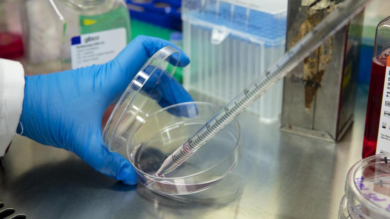 WHAT IS PHYSIOLOGY OF SCIENCE visual data 4