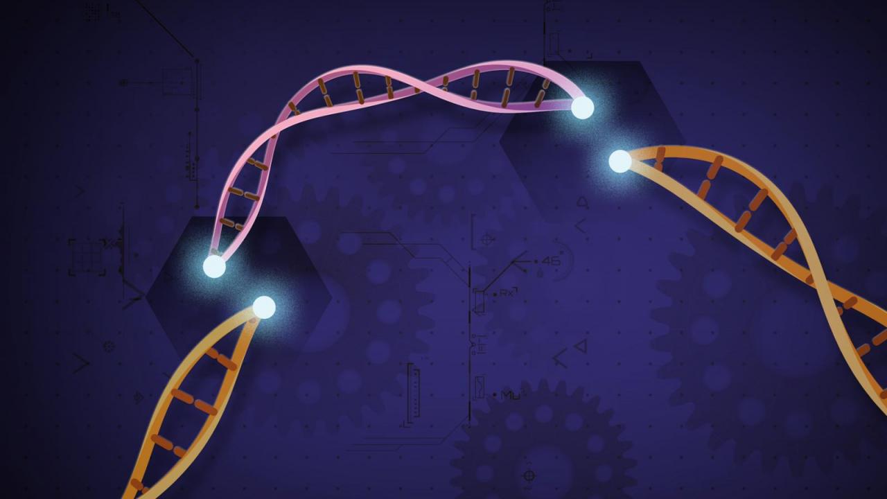 The CRISPR Revolution What You Need to Know Columbia