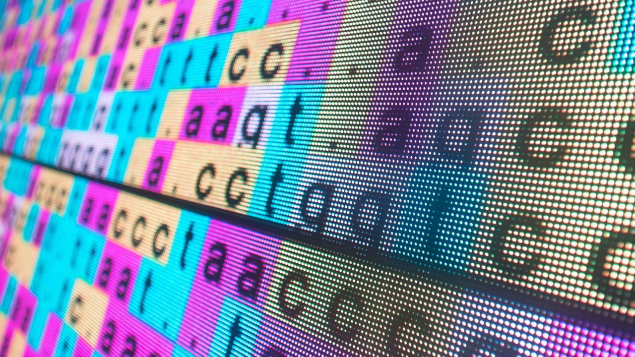 新しい発見により黒人患者の腎臓病診断が改善される可能性がある