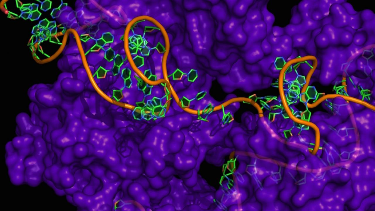 Crispr Gene Editing Can Cause Hundreds Of Unintended Mutations