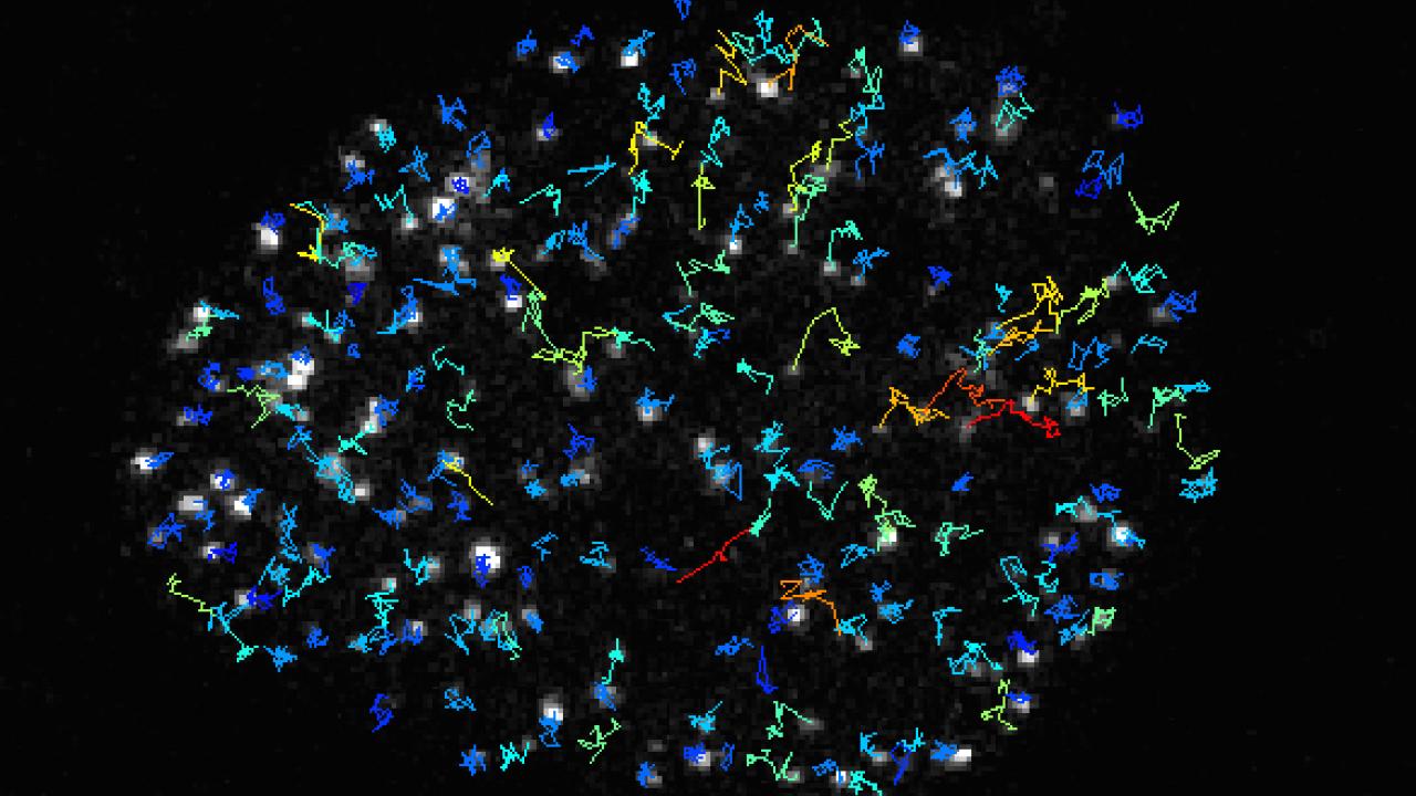 mend severely damaged dna
