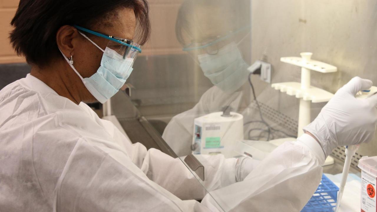 Columbia University Irving Medical Center New York Presbyterian Hospital Currently Processing 1 000 Covid 19 Tests Per Day Launches Antibody Testing Columbia University Irving Medical Center