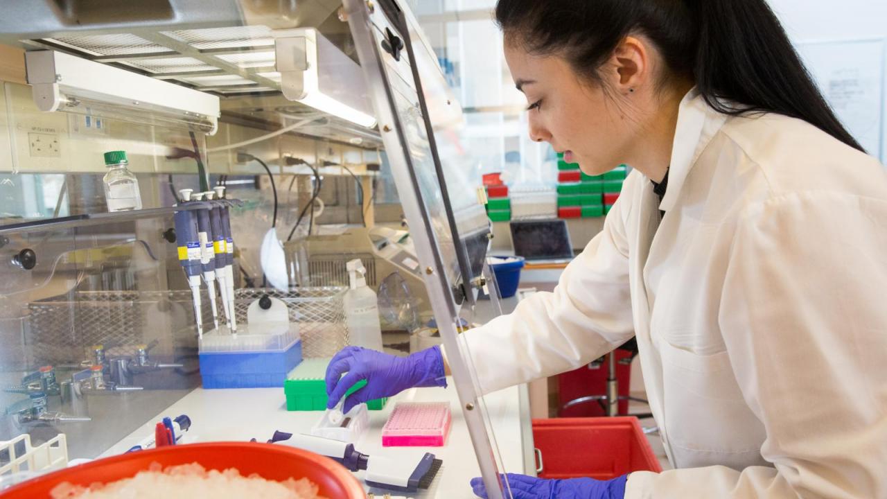 Herbert Irving Comprehensive Cancer Center Earns National