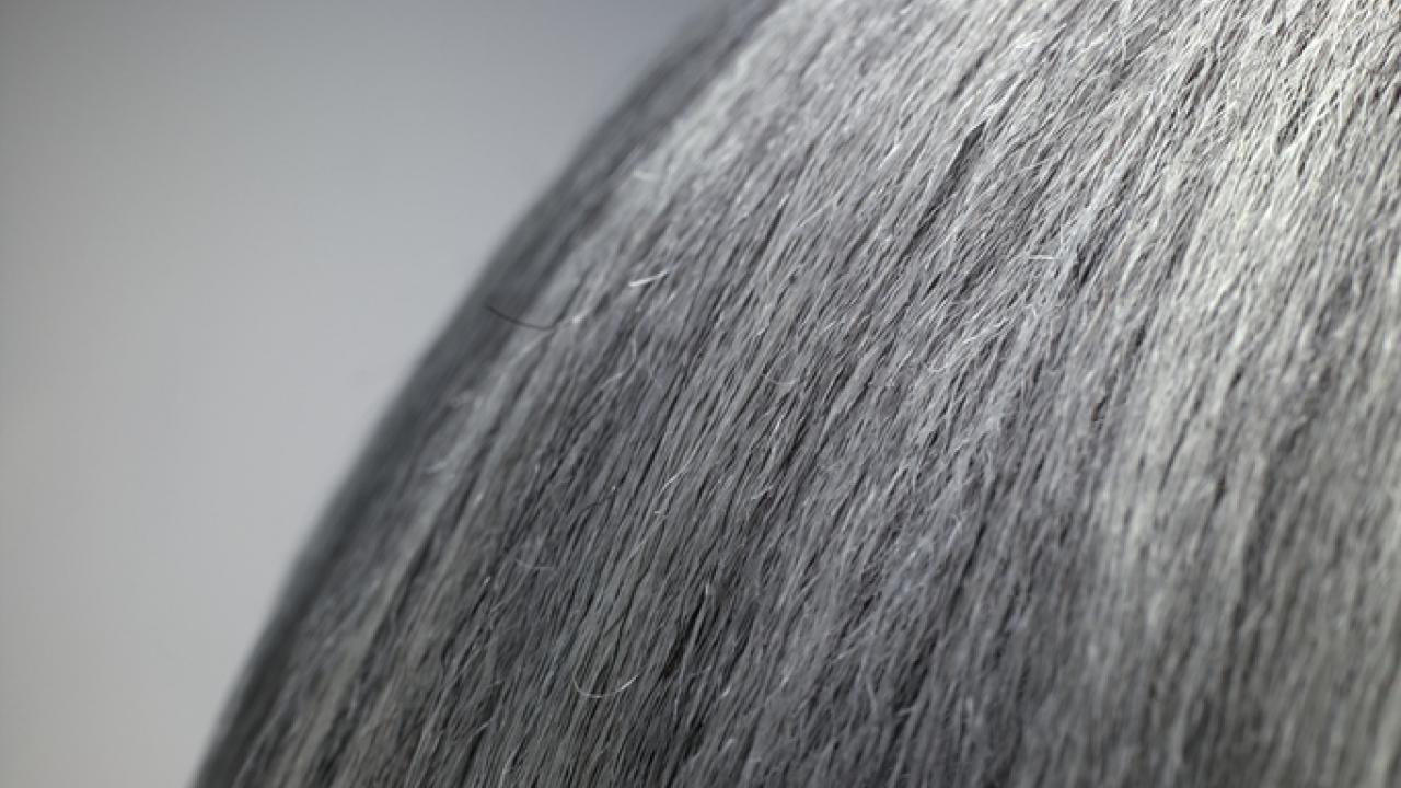 It's True: Stress Does Turn Hair Gray (And It's Reversible) | Columbia  University Irving Medical Center