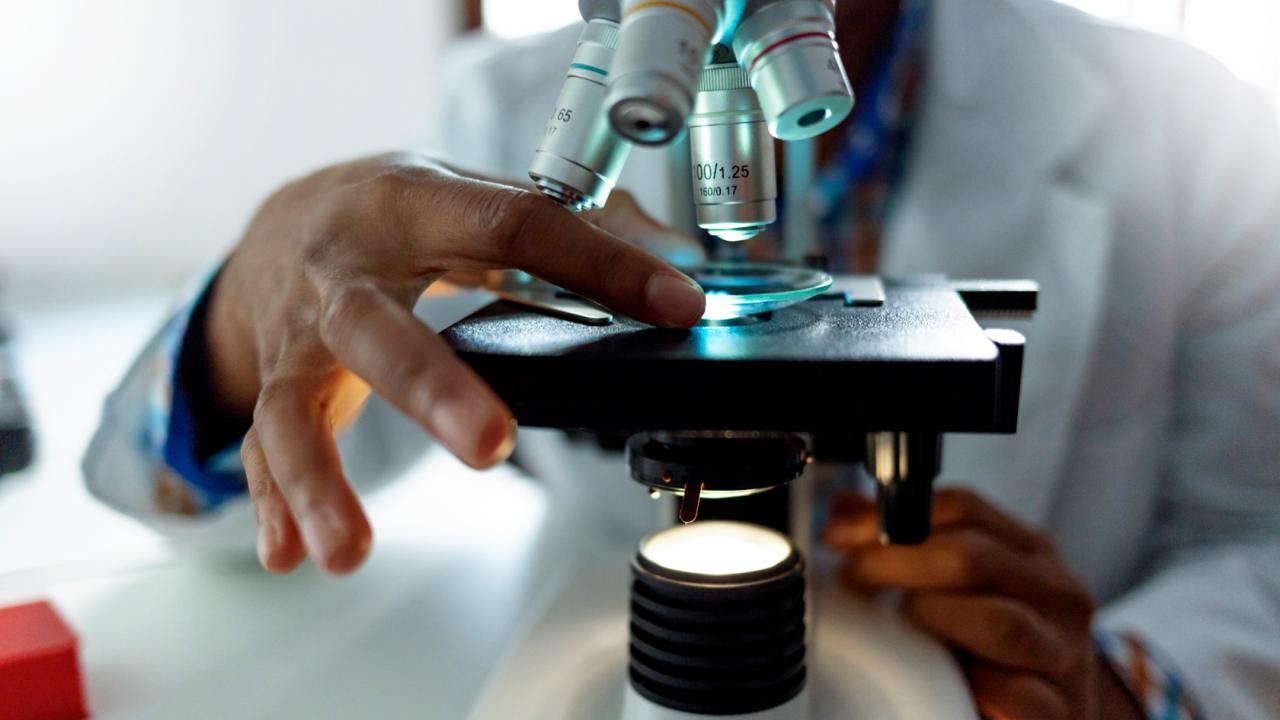 New PhysicianScientist Pathway Initiative Columbia University Irving