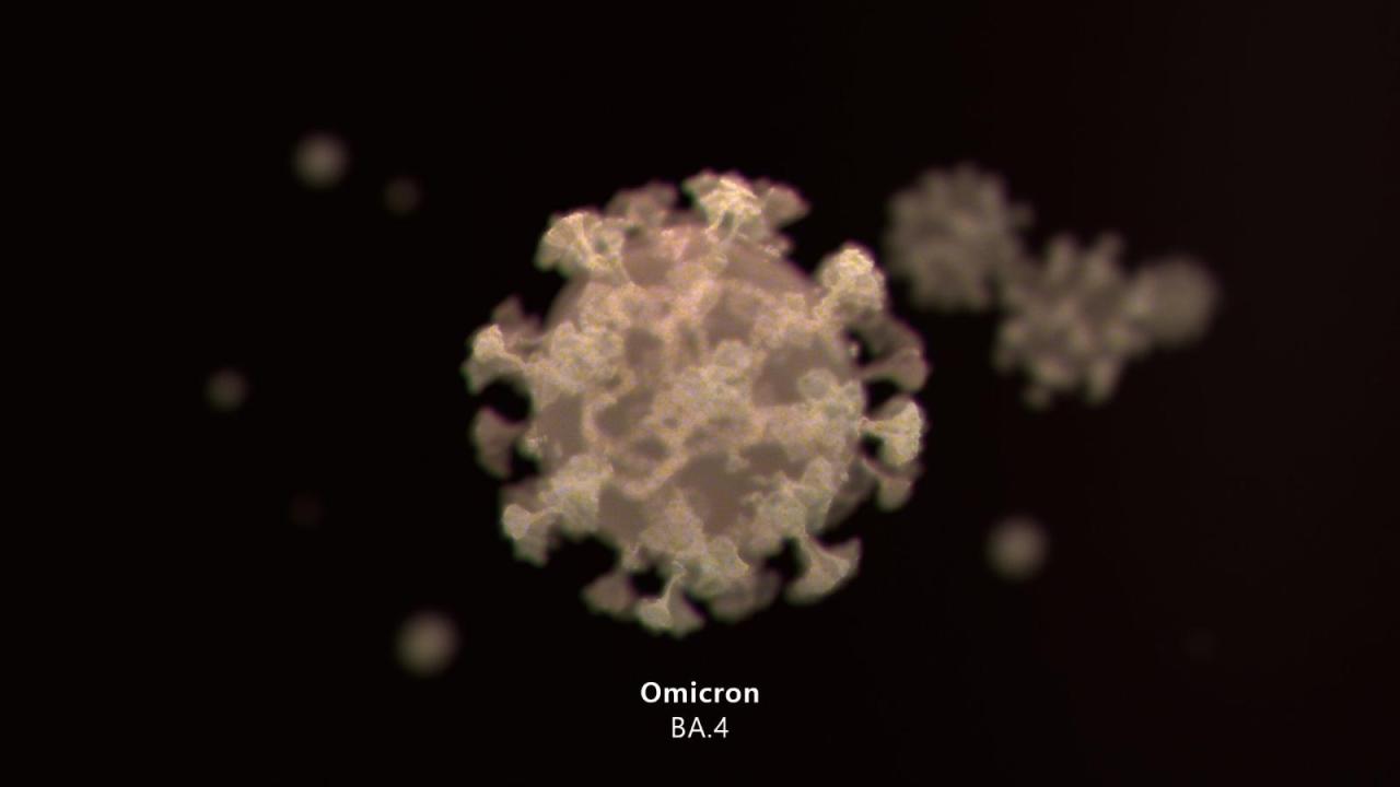 Omicron Unit Dominant Omicron Subvariants Better at Evading Vaccines, Antibody ...