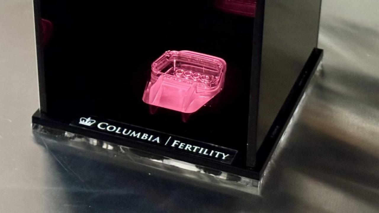 Could Light Improve Embryo Development During IVF? | Columbia ...