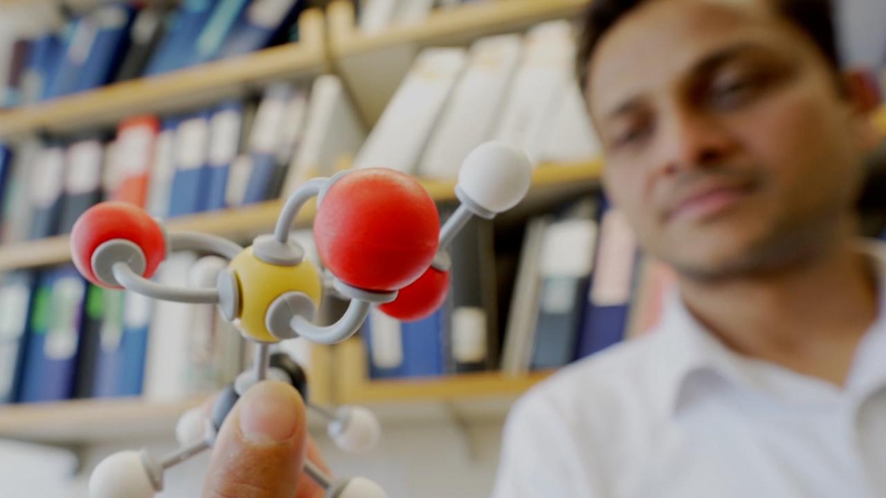 Taurine Could Be a Essential to Lengthier and Much healthier Lifetime