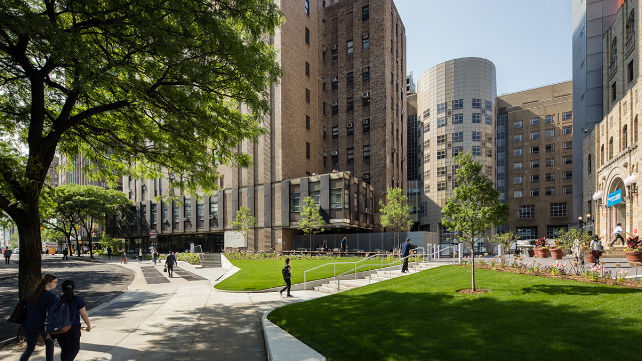 Faculty Academic Tracks Columbia University Irving Medical Center