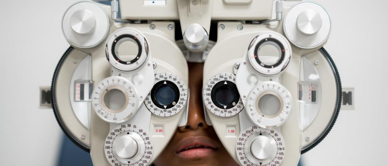 Shaping the Eye for Perfect Vision  Columbia University Irving Medical 