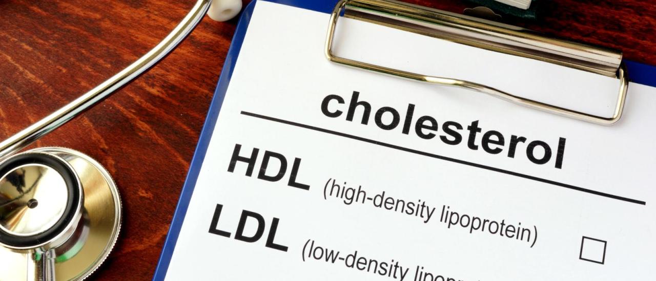 Cholesterol 101 | Columbia University Irving Medical Center