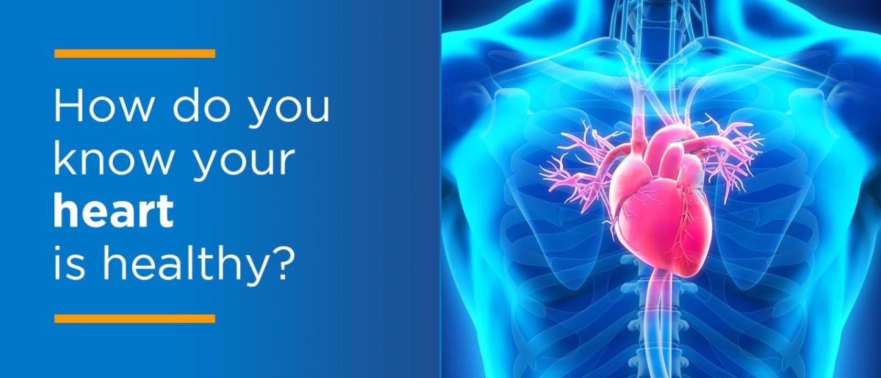 How to Know Your Heart Is Healthy Columbia University Irving Medical