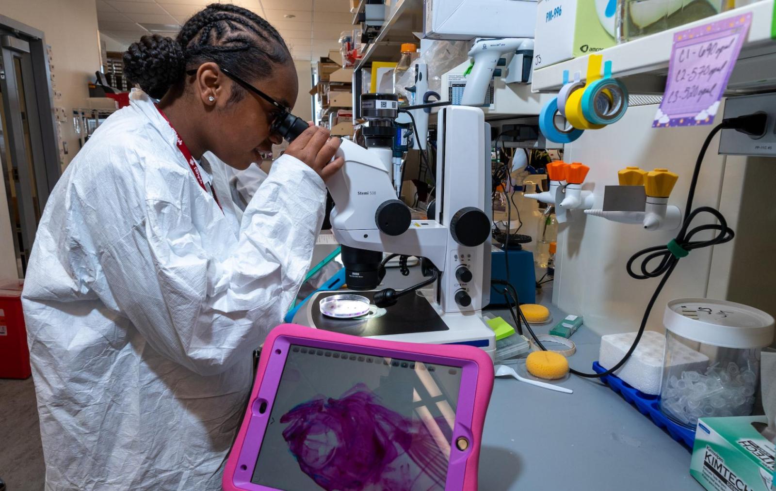 Girl wearing a white lab coat looks into a microscope