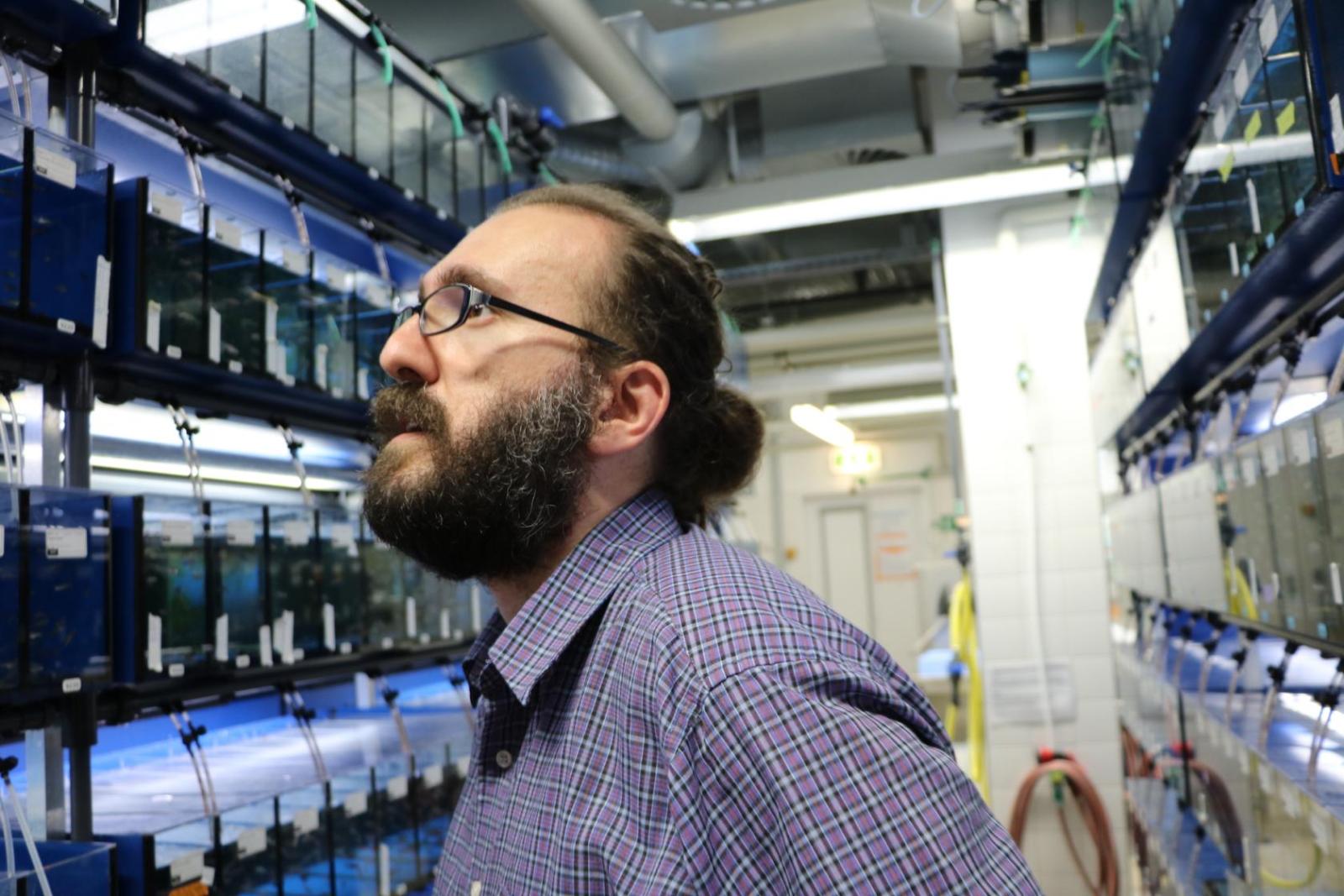 Columbia University research Caghan Kizil looking at zebrafish tanks