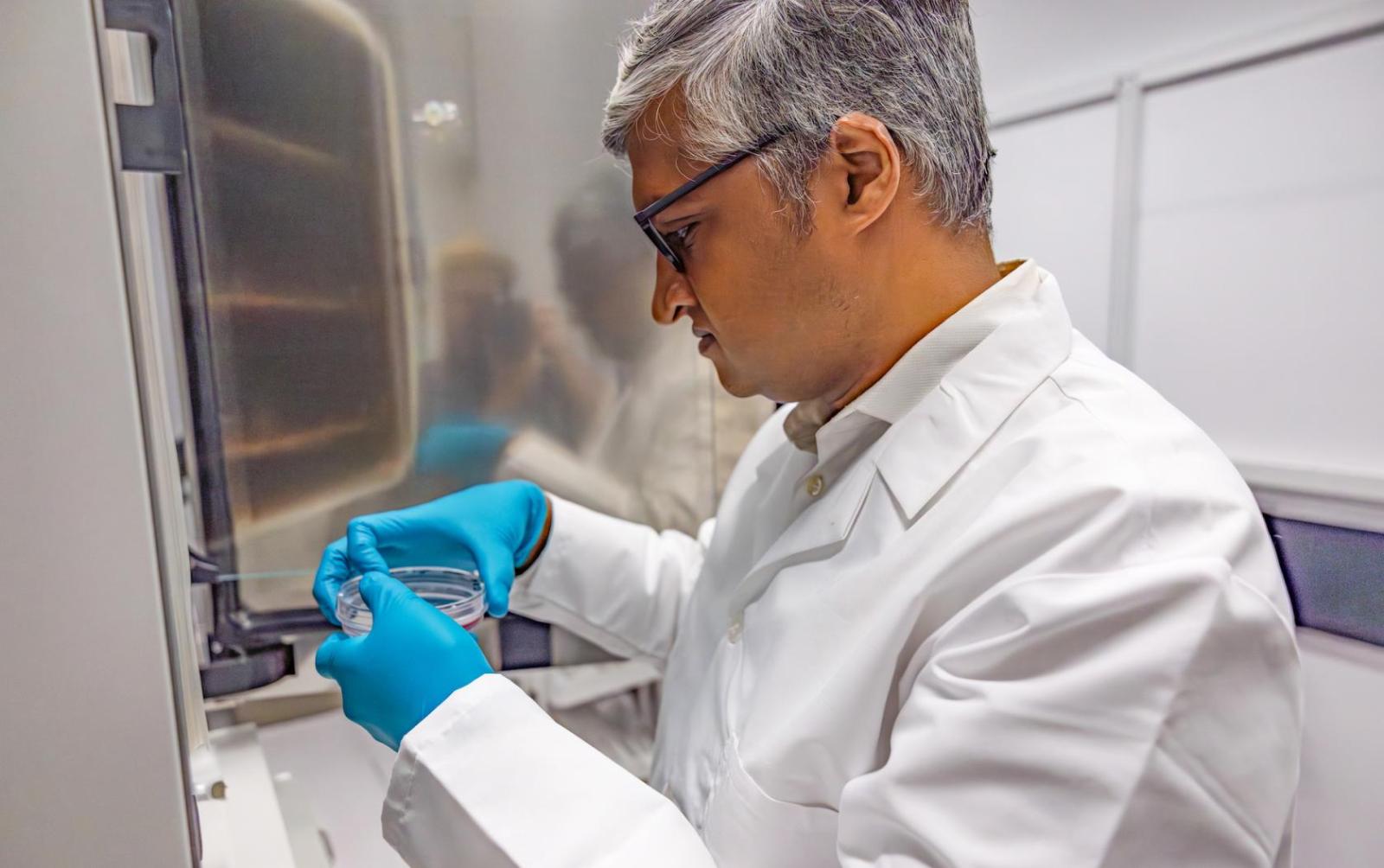 scientist wearing lab coat and gloves holding a petri dish