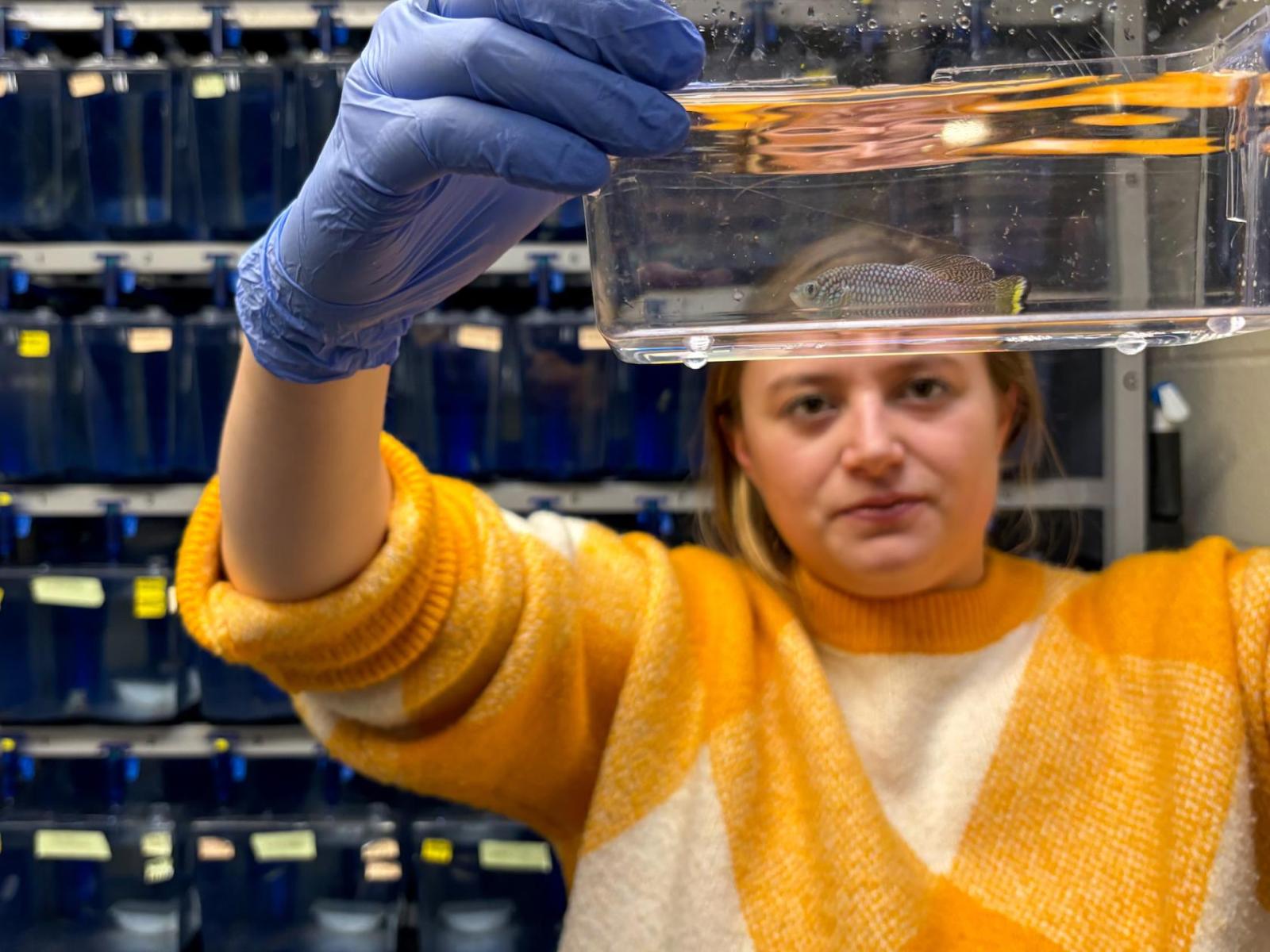 person holding a plastic fish tank with single fish inside