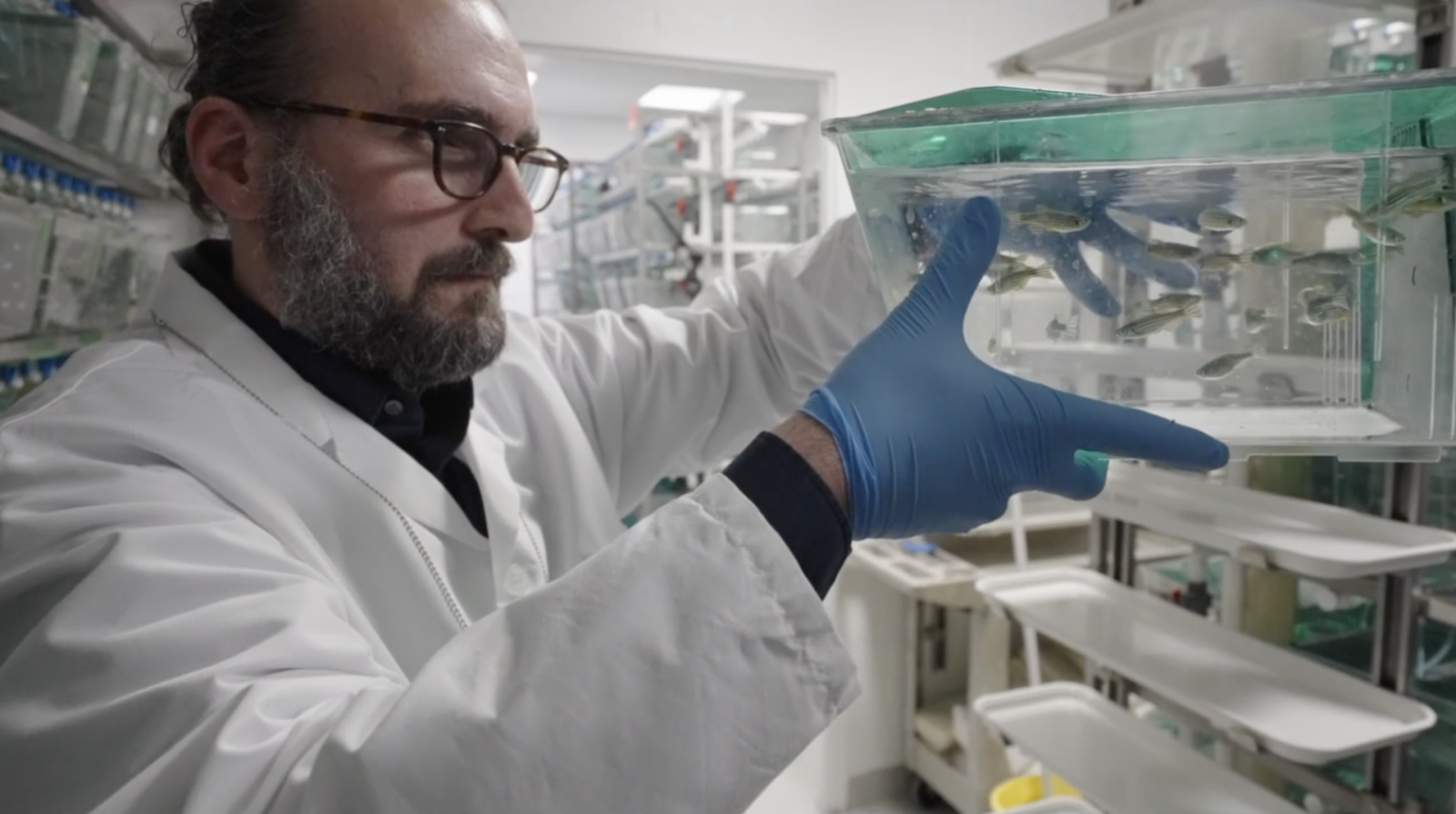 scientist holding a tank full of small fish