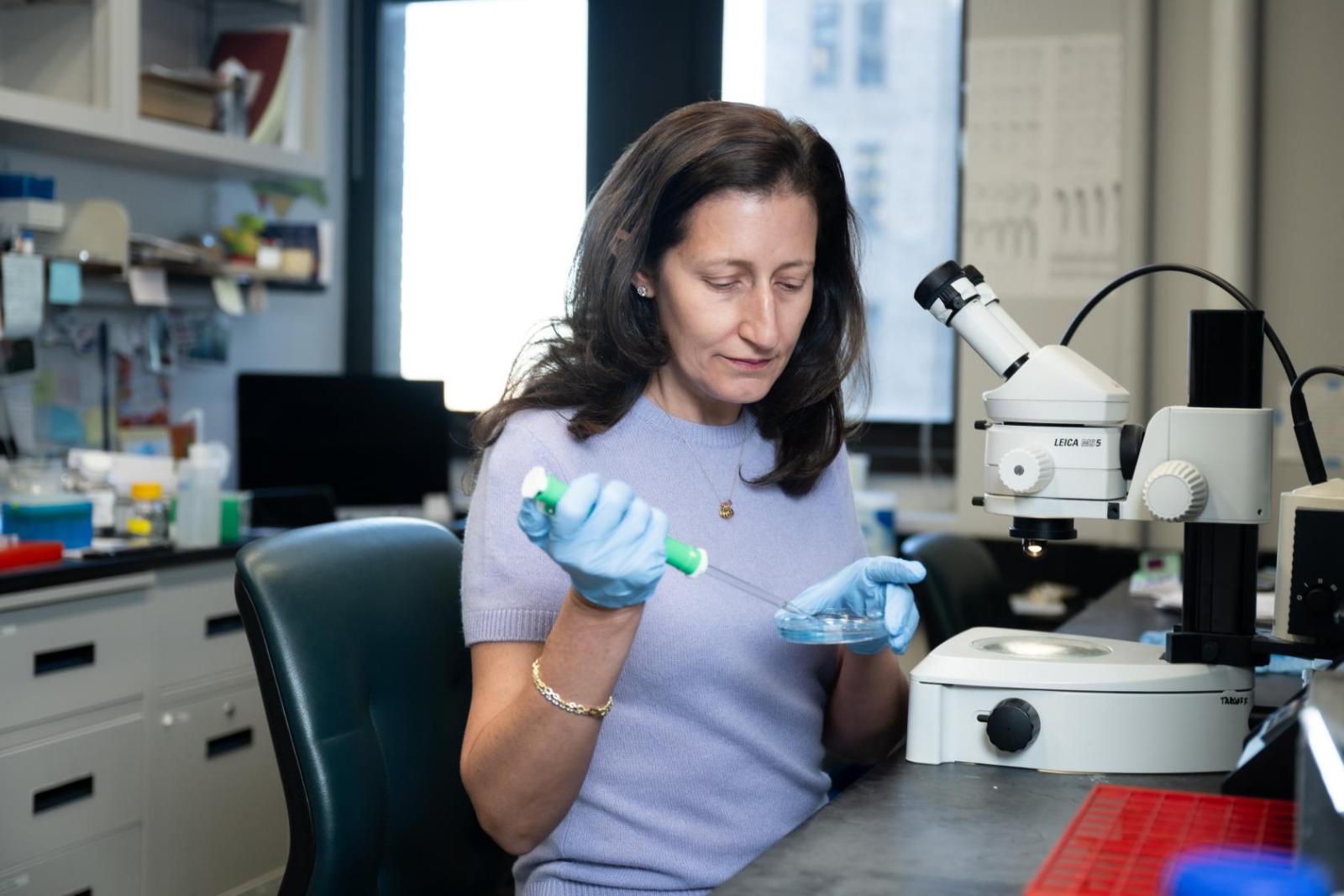 researcher in lab sitting in front of a microscope