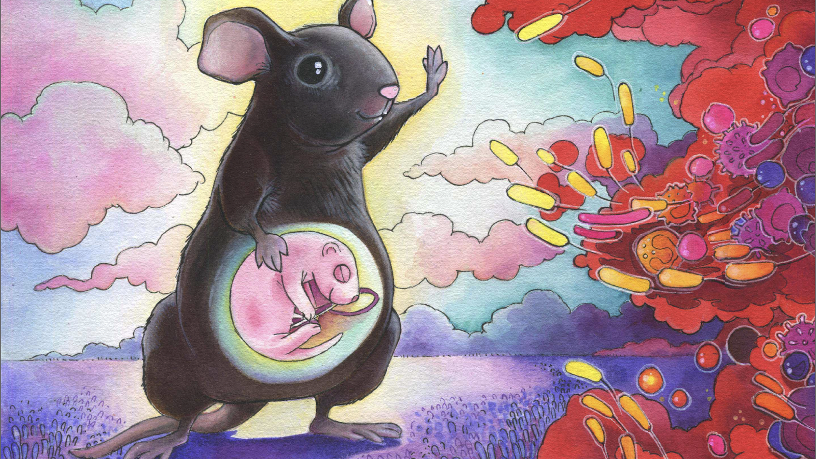 artist's rendition of a cartoon mouse protecting her fetus from harmful cells