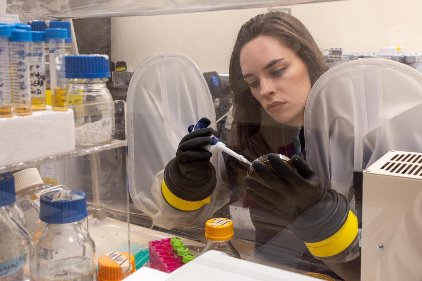 Deirdre Ricaurte working in the anaerobic chamber 