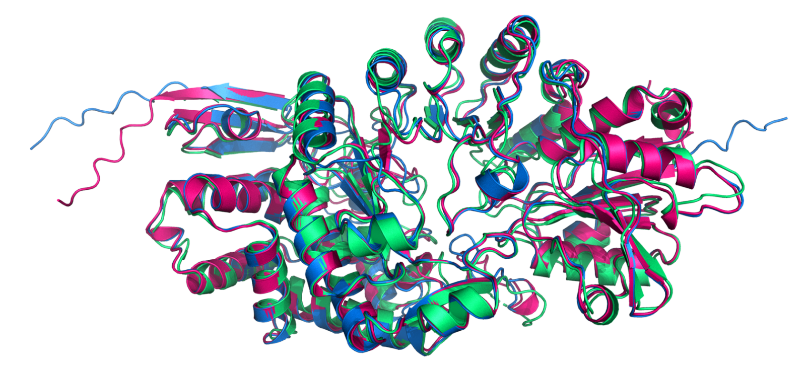 illustration of a protein shape and AI-based predictions