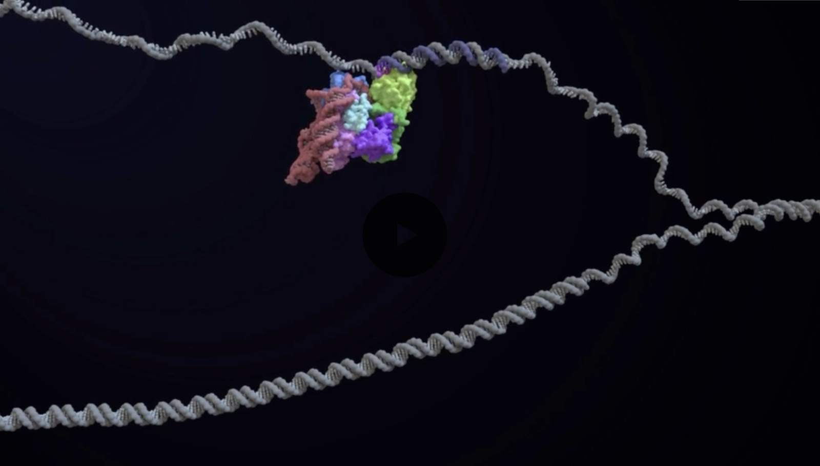 illustration of a retrotransposon editing DNA