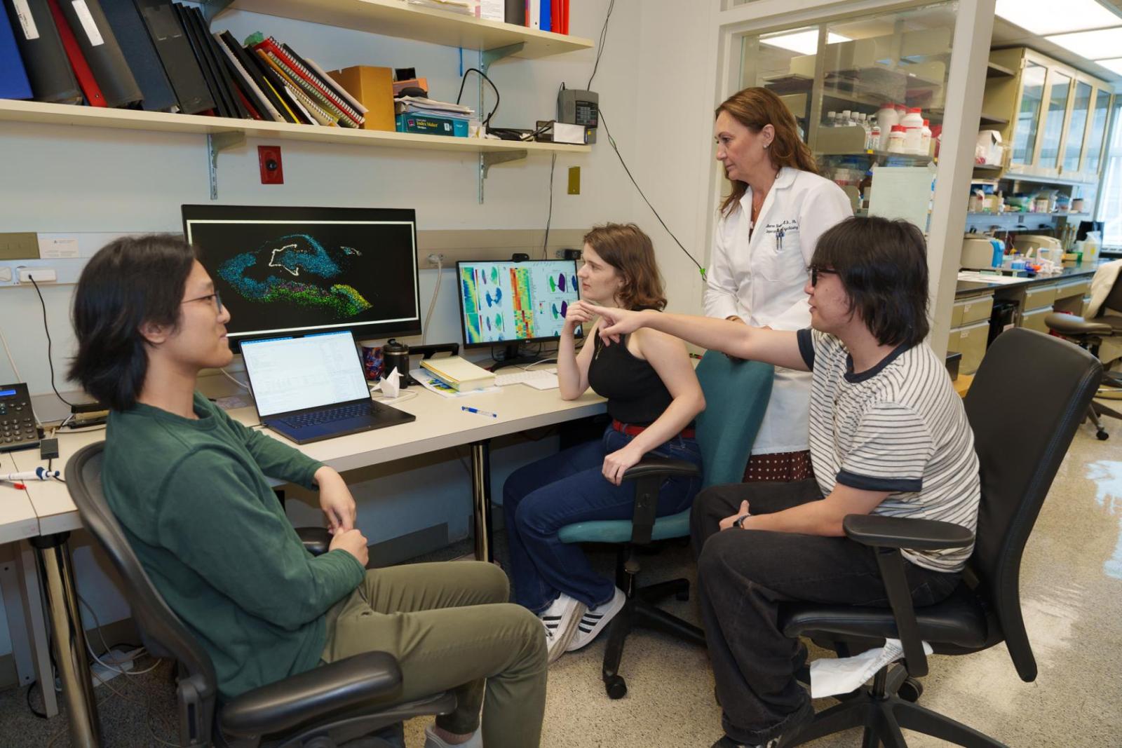 researchers looking at image of brain on a computer screen