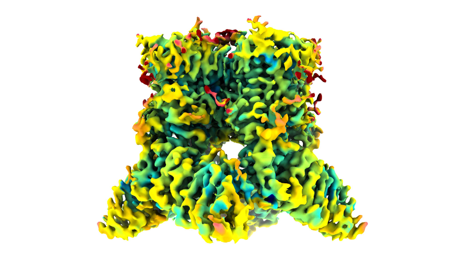 image of TRPV1 molecule