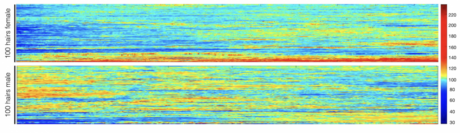 false color images of hair color intensity