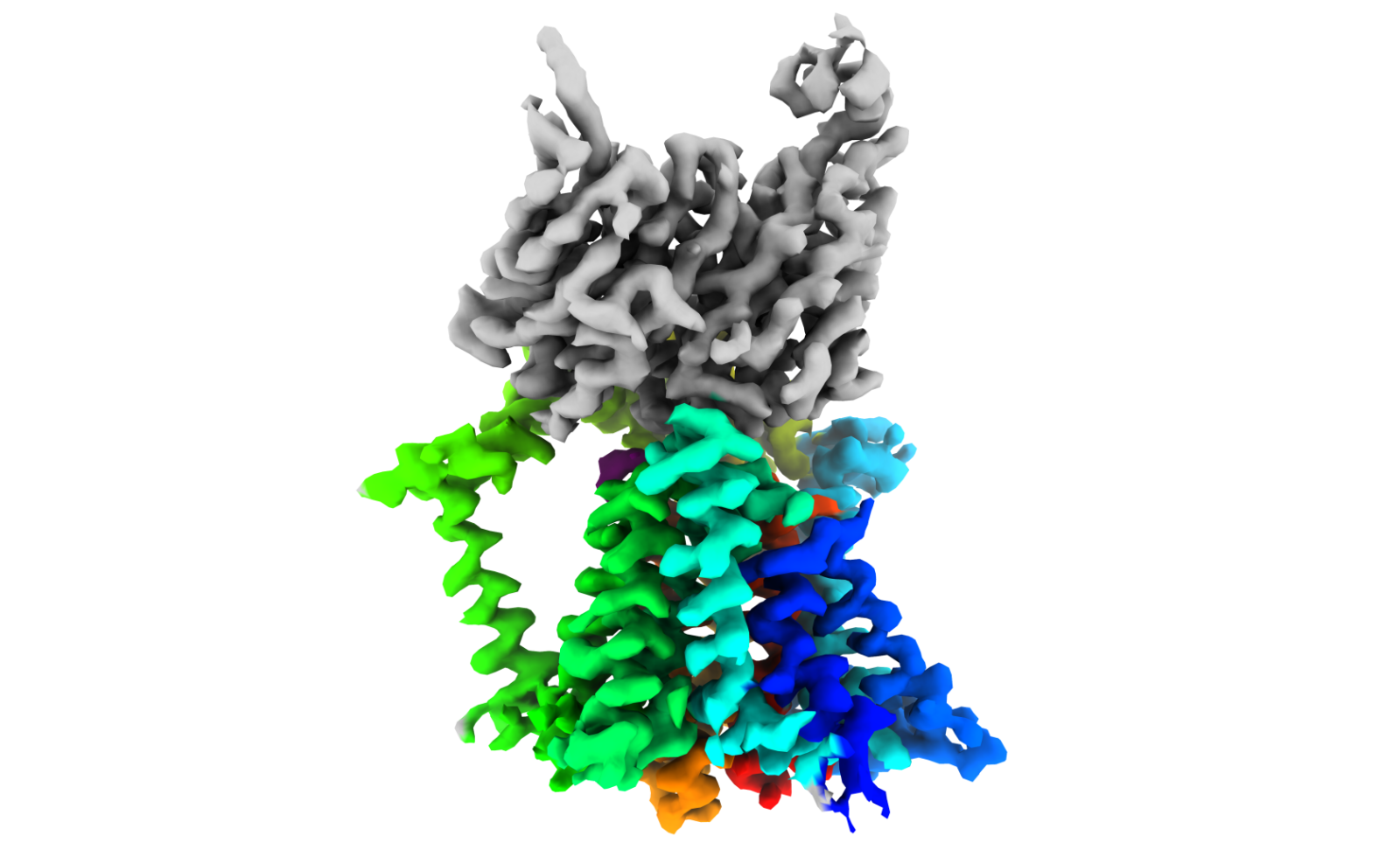 Model of O-antigen ligase enzyme from Gram-negative bacteria