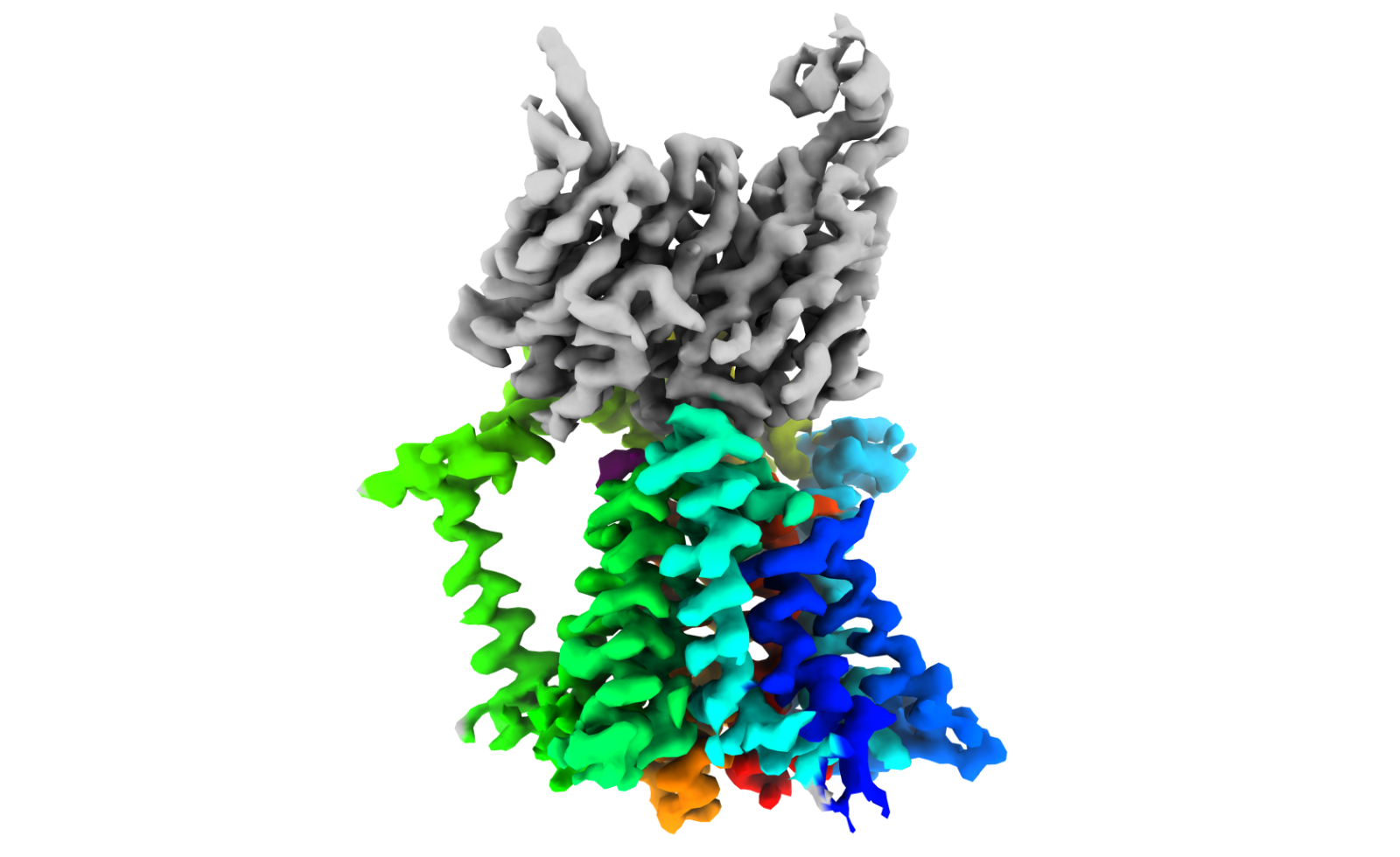O-antigen ligase enzyme Model of O-antigen ligase enzyme from Gram-negative bacteria