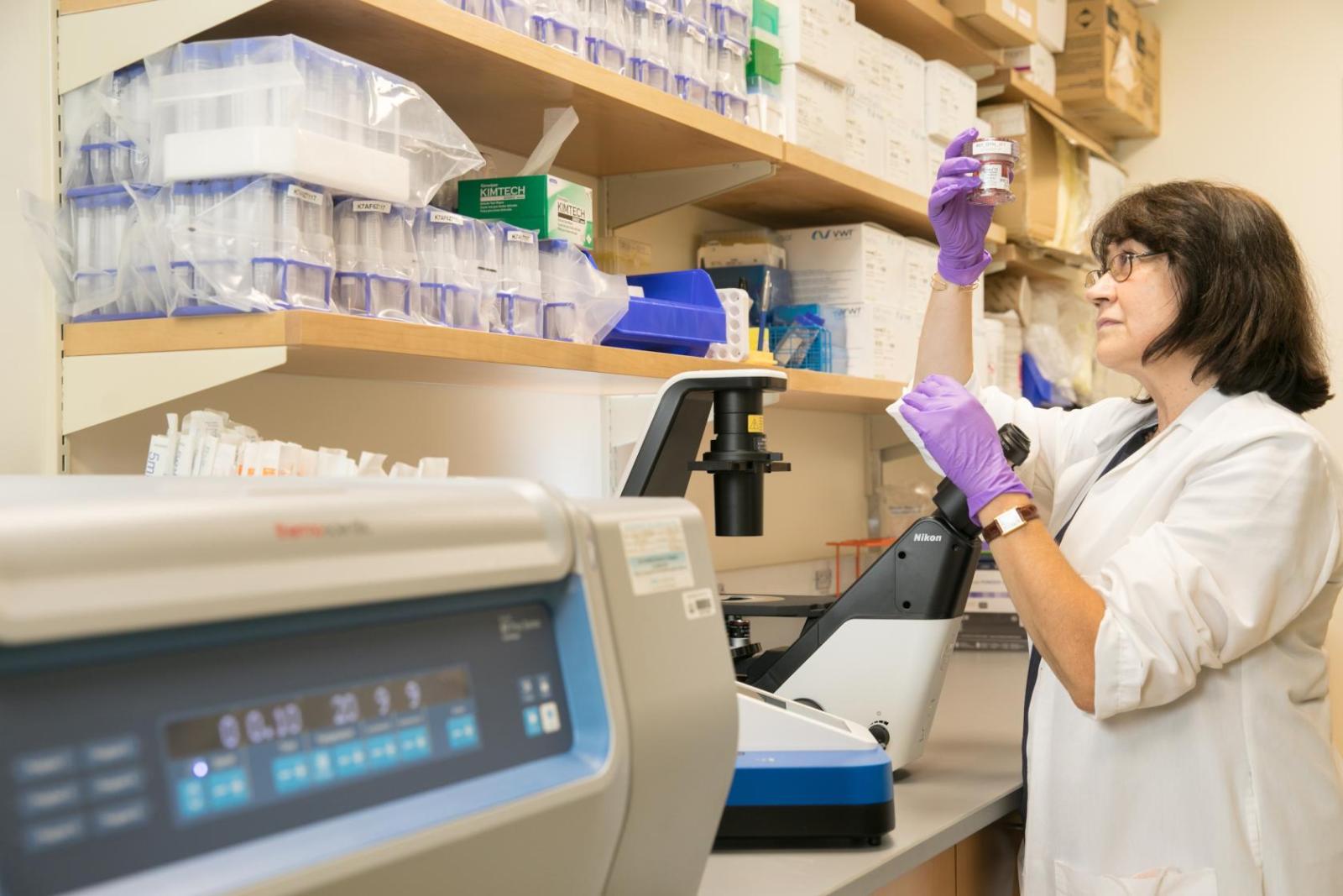 scientist examines a container of cells in the laboratory