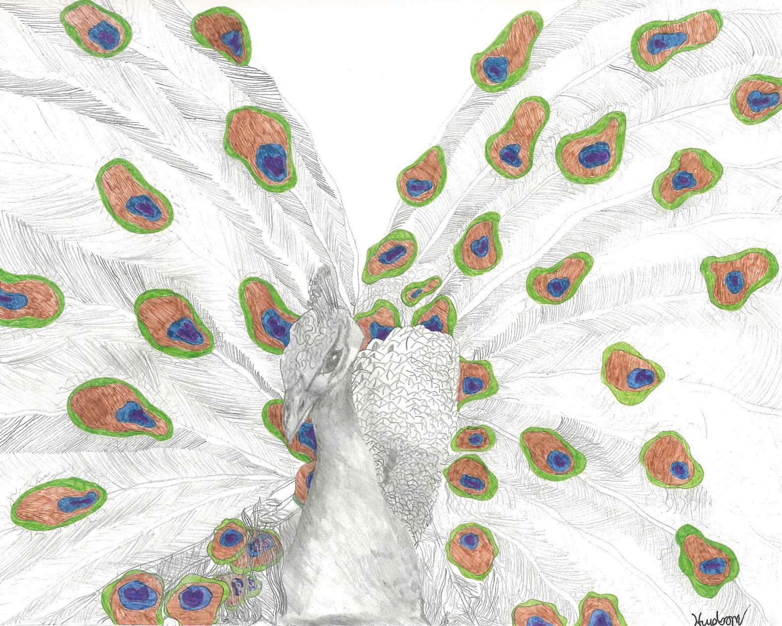 Artwork showing a colorful peacock