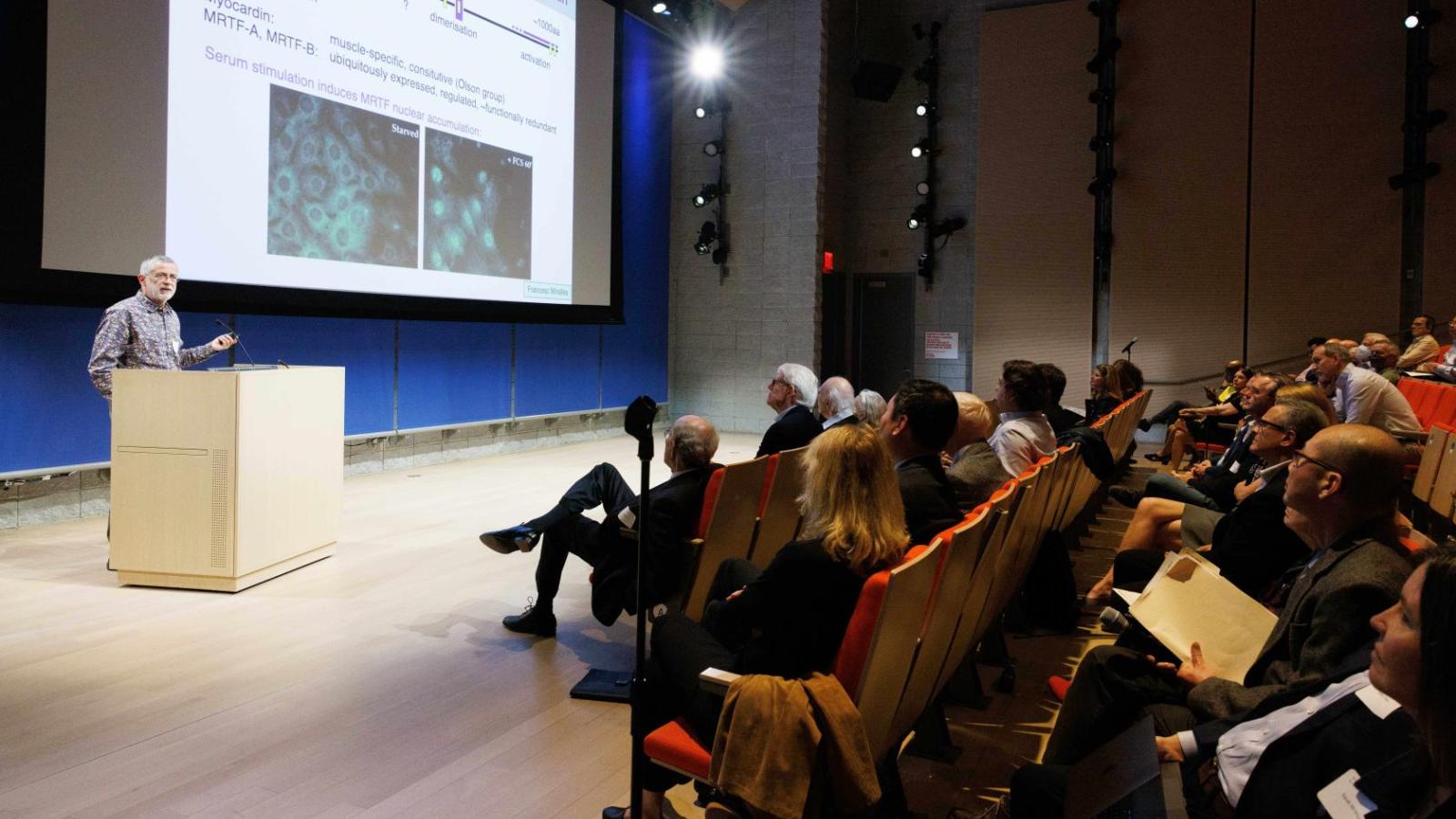 A crowd of people sit in an auditorium and watch a lecture from a man behind a podium with a projector screen behind him.