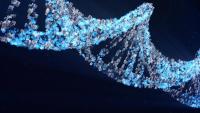 illustration of DNA molecule made with photos of people