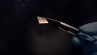 tweezers holding thin, square brain implant