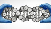 stopwatches arranged in the shape of DNA