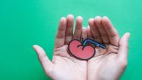two hands holding a paper illustration of a kidney