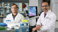Columbia pancreatic cancer researchers Ken Olive and Gulam Manji