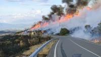 wildfire next to a road