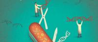 illustration of CRISPR gene editing as Swiss Army knife