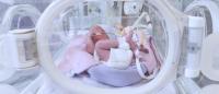 baby in an incubator