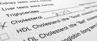 sheet of paper with results of cholesterol test